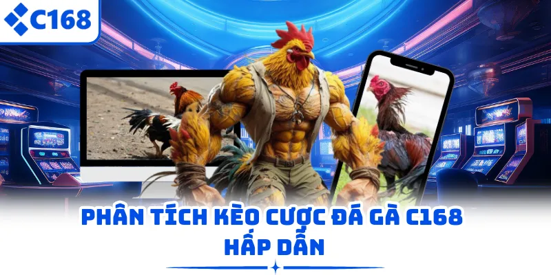 Phân tích kèo cược đá gà C168 hấp dẫn